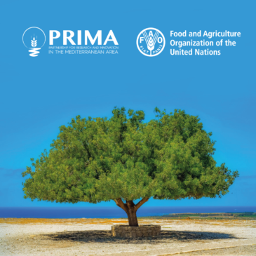 Partnership strategica PRIMA – FAO: a Roma una giornata di riflessione sull’agroalimentare nel Mediterraneo